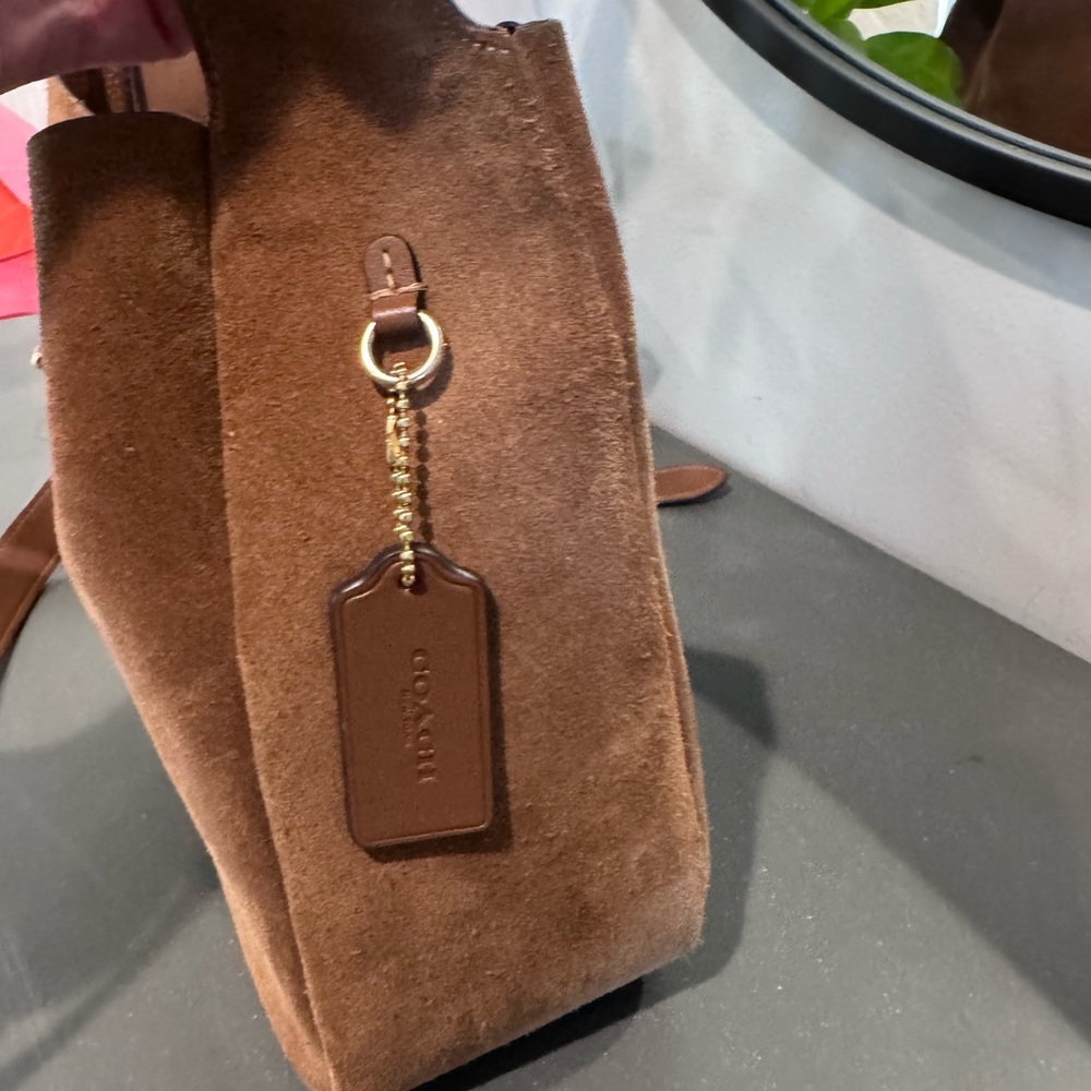 Coach Hadley Suede Crossbody in Chestnut Brown with Gold Hardware - Picture 3 of 7